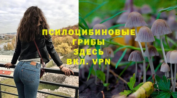 соль курить ск Абаза
