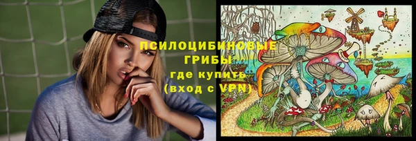 дживик Абинск