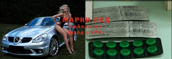 дживик Абинск