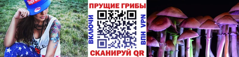 Галлюциногенные грибы ЛСД  Тихорецк 