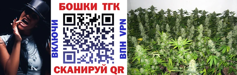 Конопля сатива  Тихорецк 